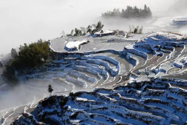 攻略 | 浙江冬日“赏雪”地图已出炉，就等南方的大雪纷飞啦