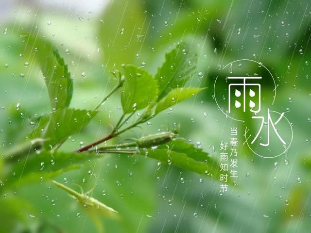 今日雨水丨渴求一场春雨，洗净人间污浊