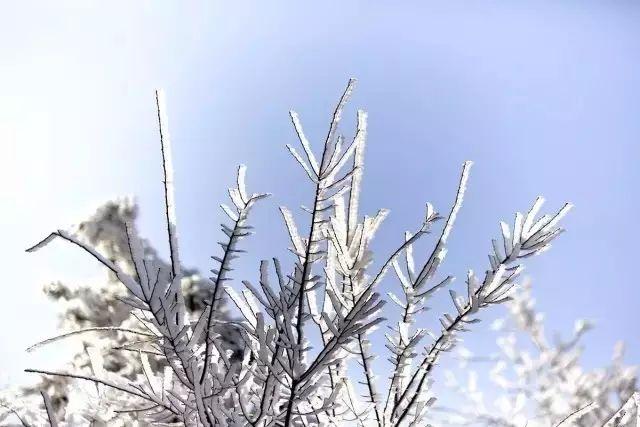 攻略 | 浙江冬日“赏雪”地图已出炉，就等南方的大雪纷飞啦