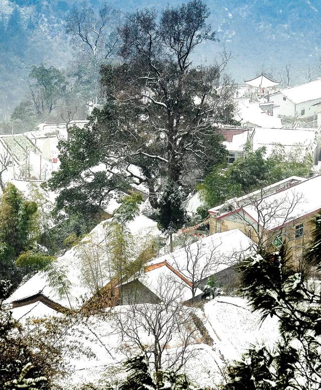 看雪攻略｜浙江这个小众古村一夜大雪，瞬间带你穿越至远古唐朝