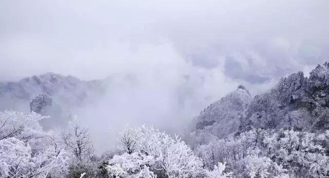 攻略 | 浙江冬日“赏雪”地图已出炉，就等南方的大雪纷飞啦