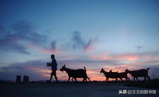刘亮程《一个人的村庄》：最怕游子归乡，却寻不见家的模样