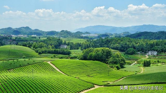 贵州高原上的一颗明珠 被誉为“云贵小江南”堪称贵州茶业第一县