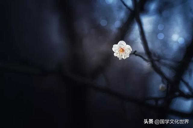 陌上花，相思扣（太美了）