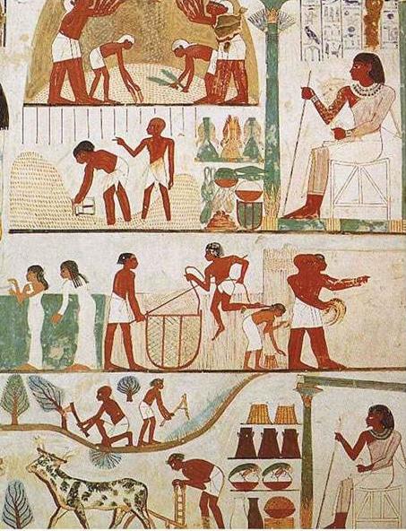 地理环境对古埃及文明的影响：优越的农耕条件使之成为最早的文明