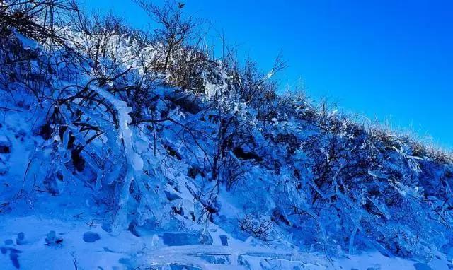 攻略 | 浙江冬日“赏雪”地图已出炉，就等南方的大雪纷飞啦
