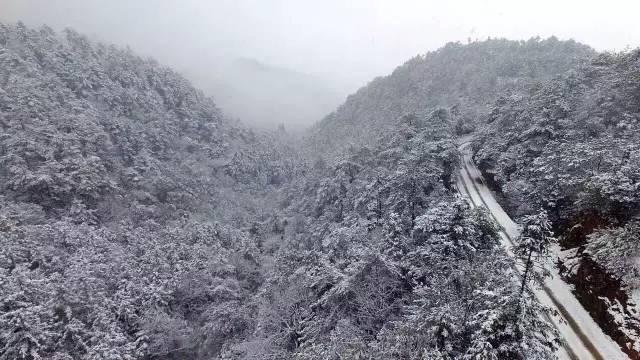 攻略 | 浙江冬日“赏雪”地图已出炉，就等南方的大雪纷飞啦