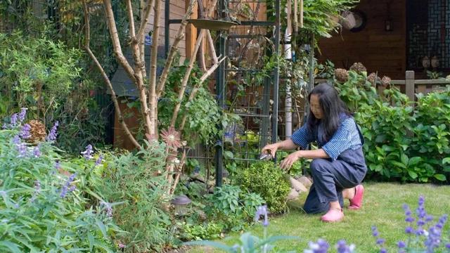 她40岁隐居，造了200㎡大花园，养花养狗，引领中年女性新生活