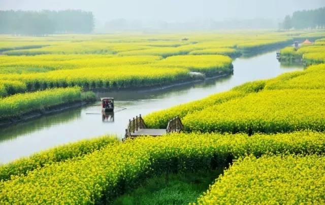 一场春的旅行，“花开成海”