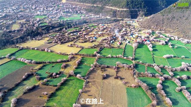 318国道到底有多美？全世界最美桃花盛开，容纳冰川、峡谷、拐弯