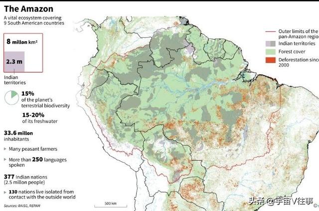 “地球之肺”危在旦夕！科学家：亚马逊雨林可能在50年内消失