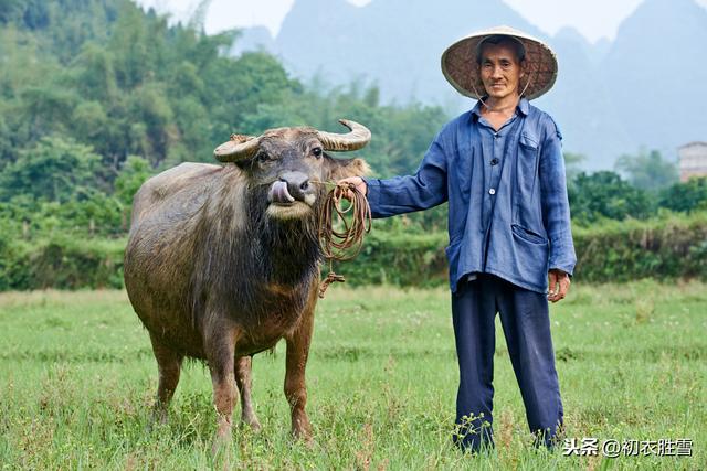 陆游诗读：春耕人在野，农具已山立