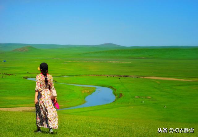 春日读诗：野火烧不尽，春风吹又生