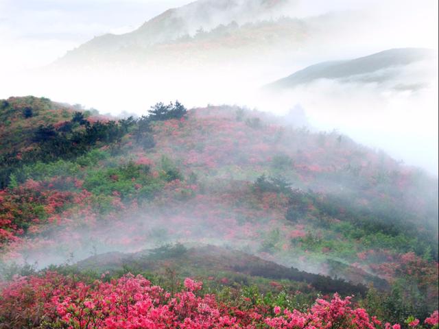 这首写在春天里的冷门唐诗，只有短短四句，读完却很有收获