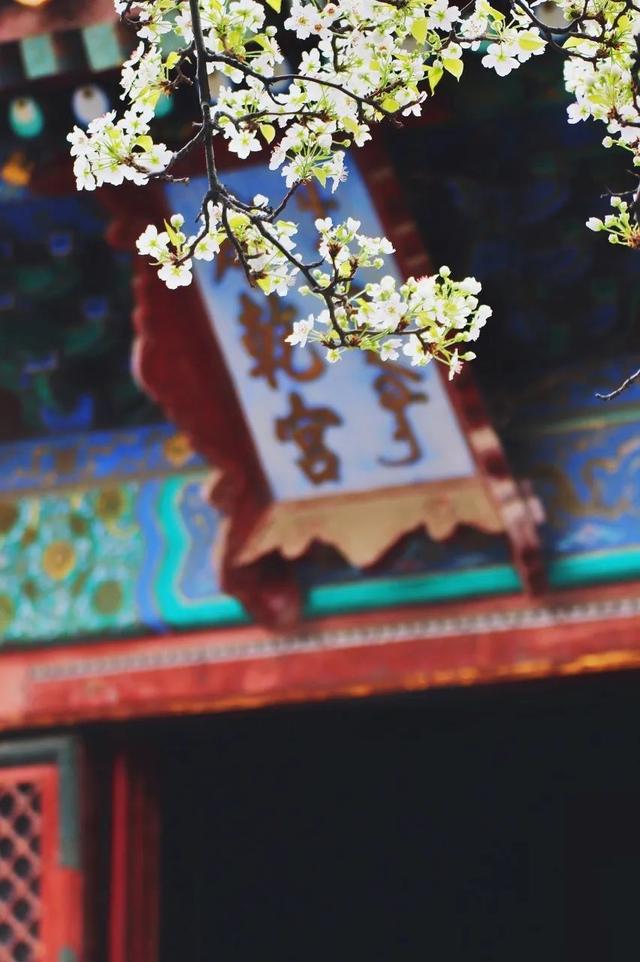 中国的春天，是全世界最美的