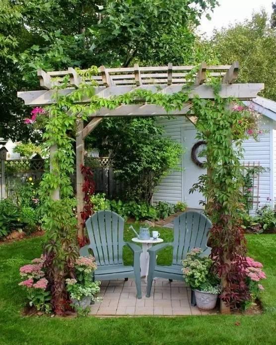 一个简单的花架，美了整个院子