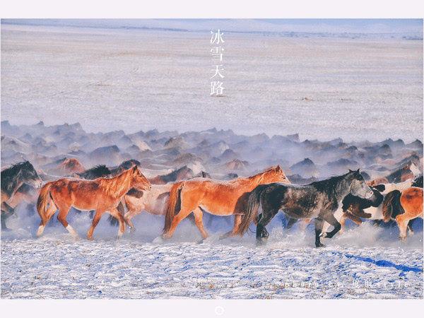 中国最大的草原，冬天的呼伦贝尔，洁白无瑕万马奔腾