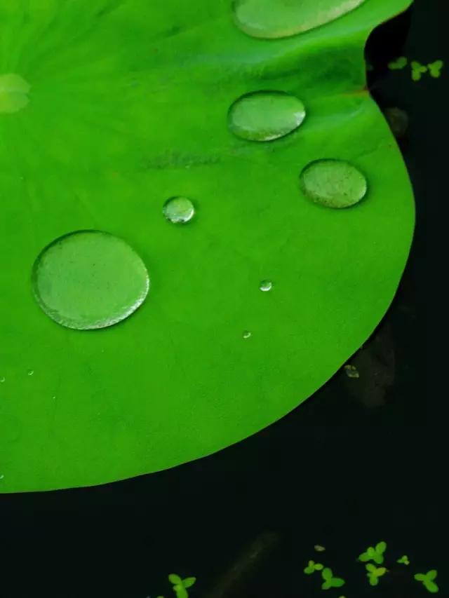 “诗中雨，雨中情”，“美翻”整个春天