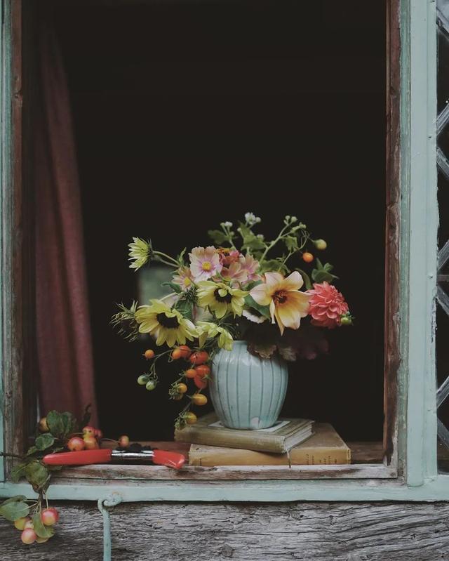 被忽略的窗台，种满鲜花，真的太美了