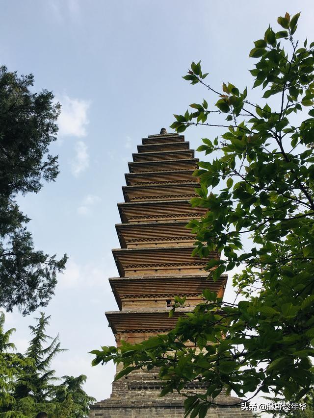 洛阳伽蓝记 | 龙门石窟与白马寺