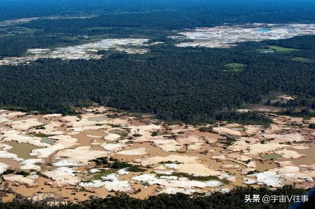 “地球之肺”危在旦夕！科学家：亚马逊雨林可能在50年内消失
