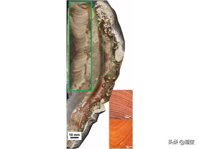 化石证据表明：7000万年前，地球的一天只有23.5小时