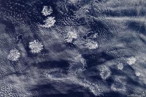 卫星看世界，澳大利亚西海岸出现多个怪云团，看起来像白玫瑰