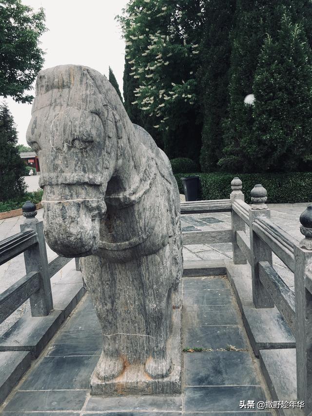 洛阳伽蓝记 | 龙门石窟与白马寺