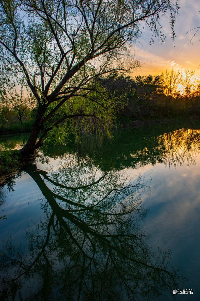 这是我在杭州西溪湿地拍到的今年春天最美丽的晚霞