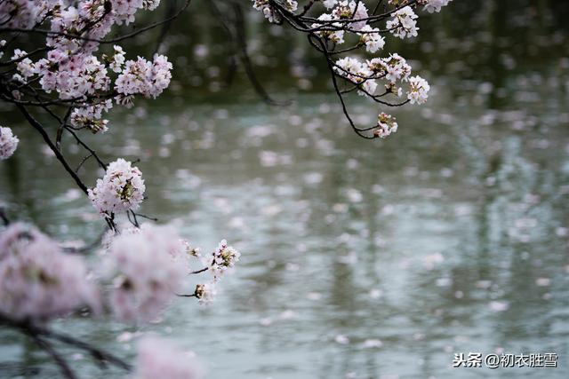 苏东坡的小城三月：半壕春水一城花，烟雨暗万家