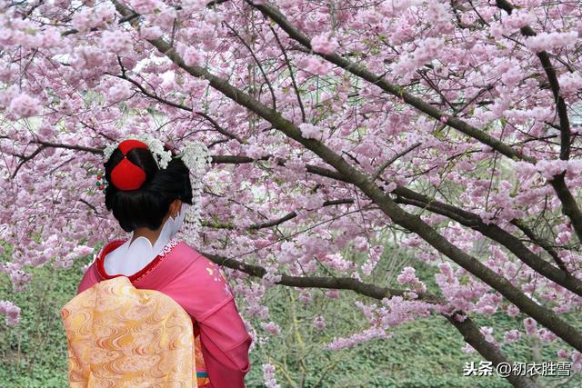 晚唐最真实的春天：樱花永巷垂杨柳，有女欢喜有女愁