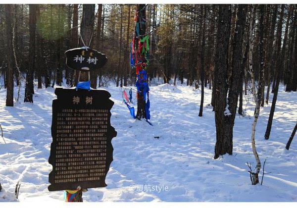 中国最后的狩猎部落，唯一的驯鹿之乡，游客慕名而来