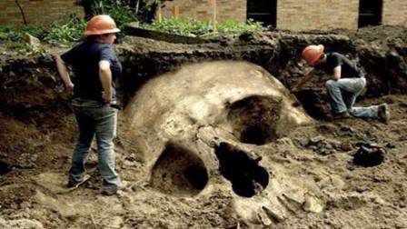 “南美雪人”化石被发现，体重超过一吨！表示史前存在过巨人？-爱读书