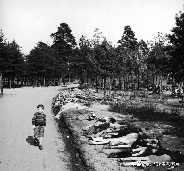 触目惊心！一组1945年拍摄的德国纳粹集中营的老照片