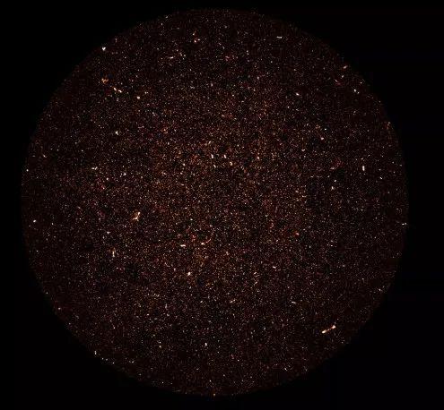 拍摄130个小时，又一张宏大的天文照片出炉，包含了数万个星系