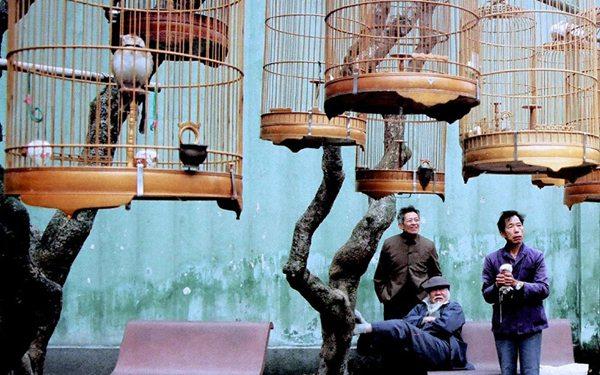老照片：八十年代的广州，改革开放的前沿阵地
