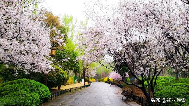 苏东坡的小城三月：半壕春水一城花，烟雨暗万家