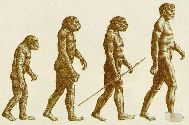 100万年后人类会进化成什么样子？这里告诉你答案