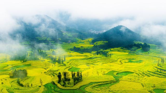 中国最美的4大油菜花胜地，每一处都是视觉盛宴，今年就看金门源