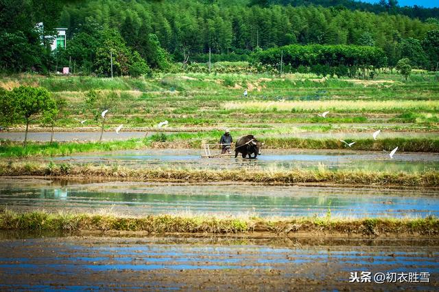 陆游诗读：春耕人在野，农具已山立