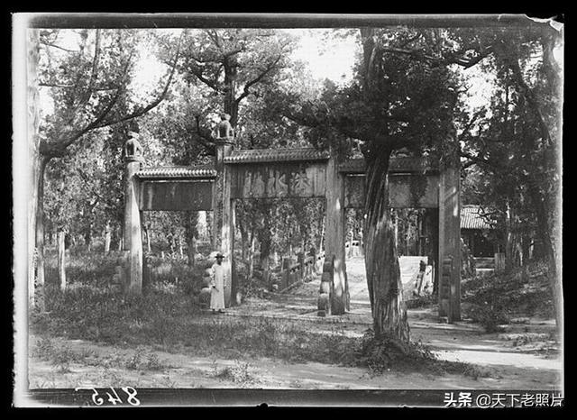 1907年山東曲阜老照片36幅 彼时完好的孔林孔府孔庙