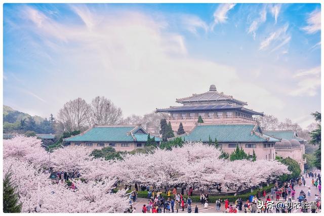 李煜词读《望江南》:车如流水马如龙，花月正春风