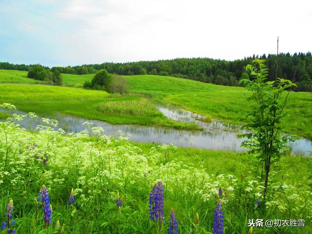 执壶上唐诗：春水春池满，春时春草生，春人饮春酒，春鸟弄春声