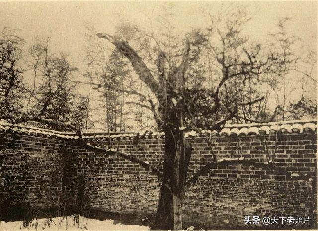 1906年江苏句容老照片 百年前的茅山寺庙建筑美丽风光