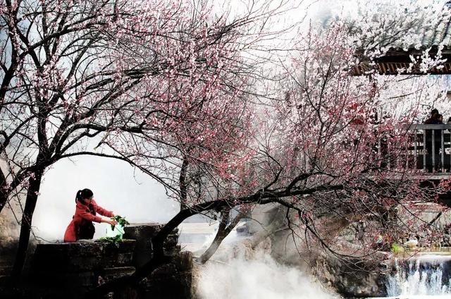 带口罩的冬天太漫长，差点忘了中国的春天有多美