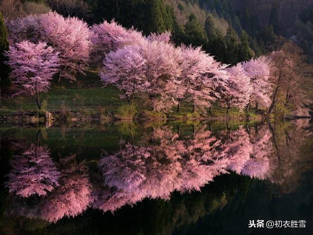 来，听一首唐朝的山歌：山桃红花满上头