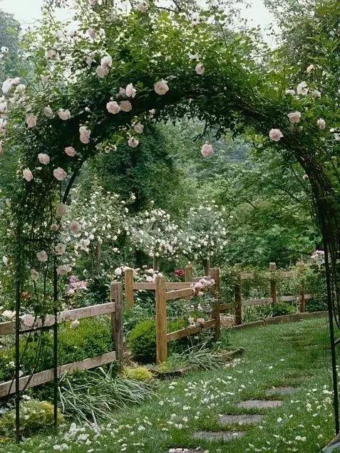 一个简单的花架，美了整个院子