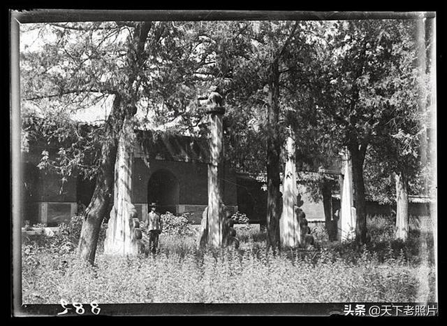 1907年山東曲阜老照片36幅 彼时完好的孔林孔府孔庙