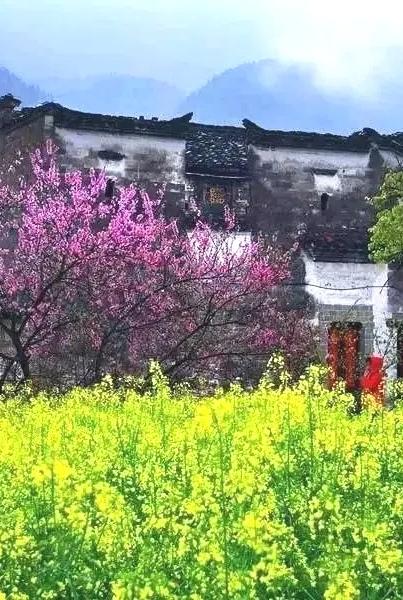 婺源古村有1100年历史，保存农耕文化，成为振兴乡村旅游的典范。