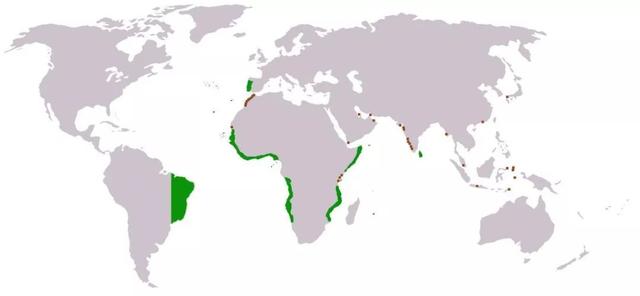英国、西班牙的殖民地遍及世界，为何法国独独对非洲情有独钟